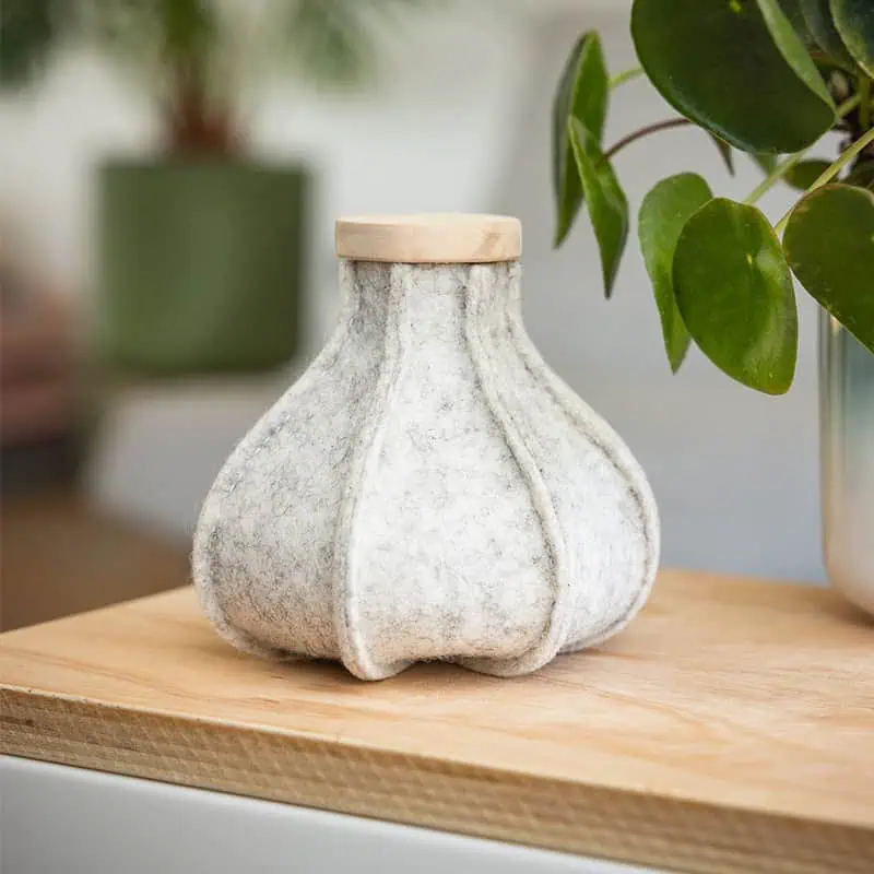 Cocoon klein op kast met een plant ernaast